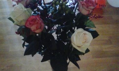 Apartmani Nimčević Rovinj Horvátország