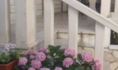 Apartmani Dragomil Sveta Nedelja Horvátország