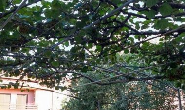 Apartman Home Sweet Home Zadar Horvátország