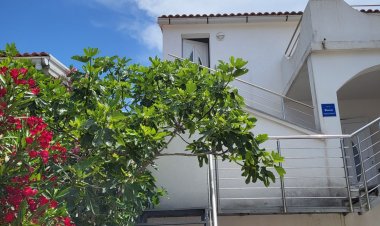 Apartman Manda Vir Horvátország