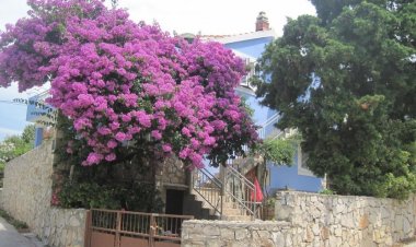 Apartman Gana Maslinica Horvátország