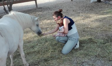 Nika Apartman Crikvenica Horvátország