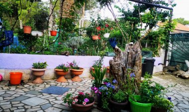 Apartman Babić Mali Lošinj Horvátország