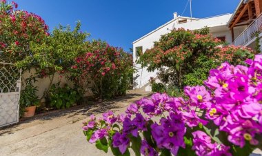 Apartmani Ana 1 Biograd na Moru Horvátország