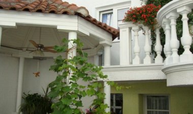 Apartmani Marica Vodice Horvátország