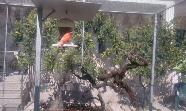 Apartment Canaria Vinisce Horvátország