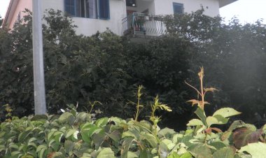 Apartment Alenka Murter Horvátország
