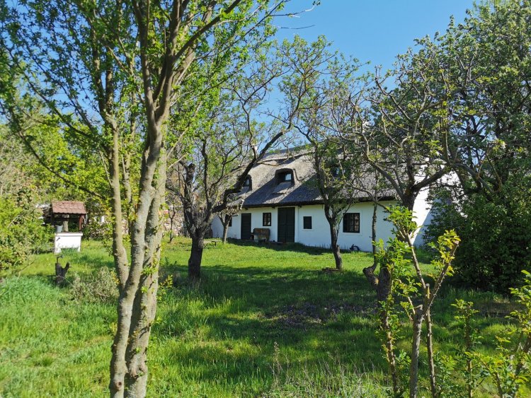 Mandulaliget Apartman Köveskál