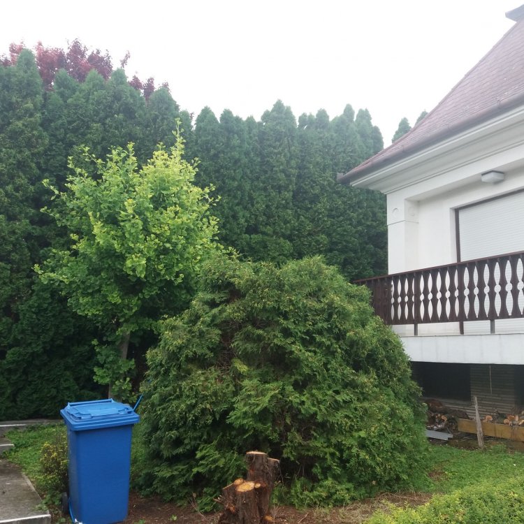 Orgona Vendégház Balatonfüred