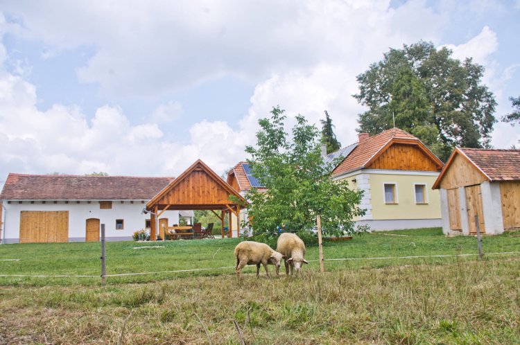 Harmatcsepp Vendégház Kercaszomor