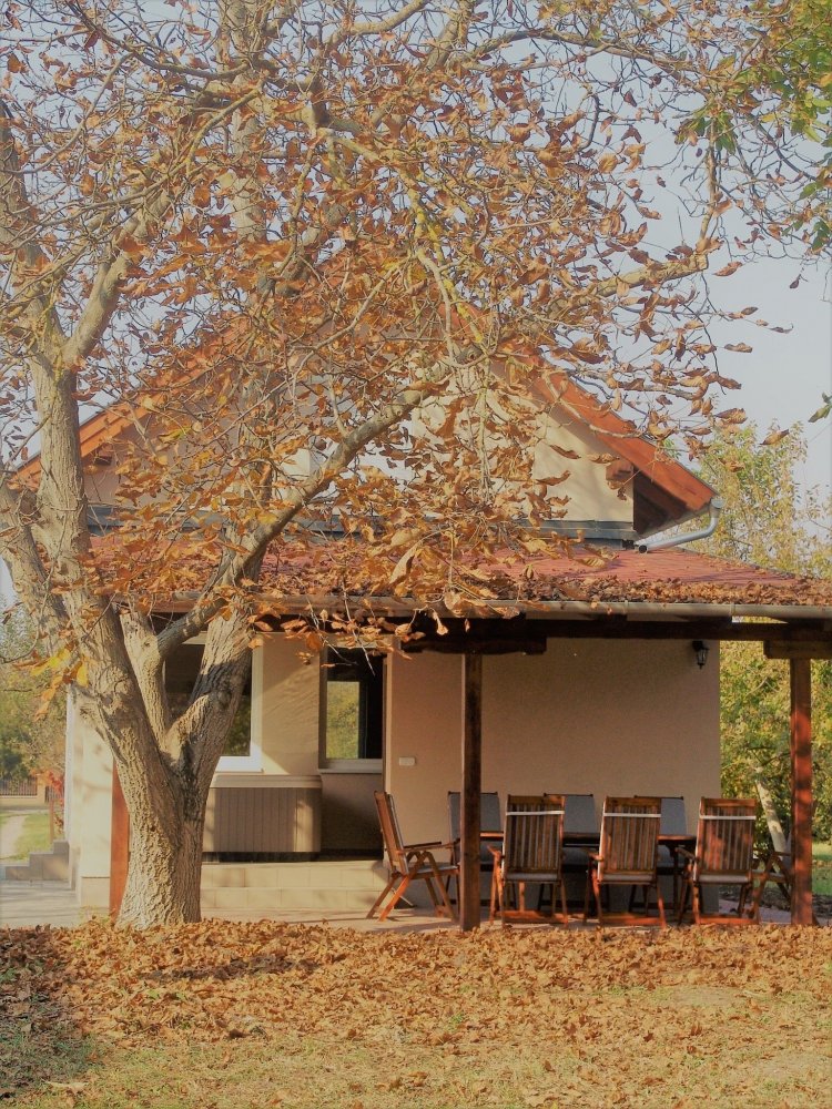 ZsoLi Vendégház Gyomaendrőd