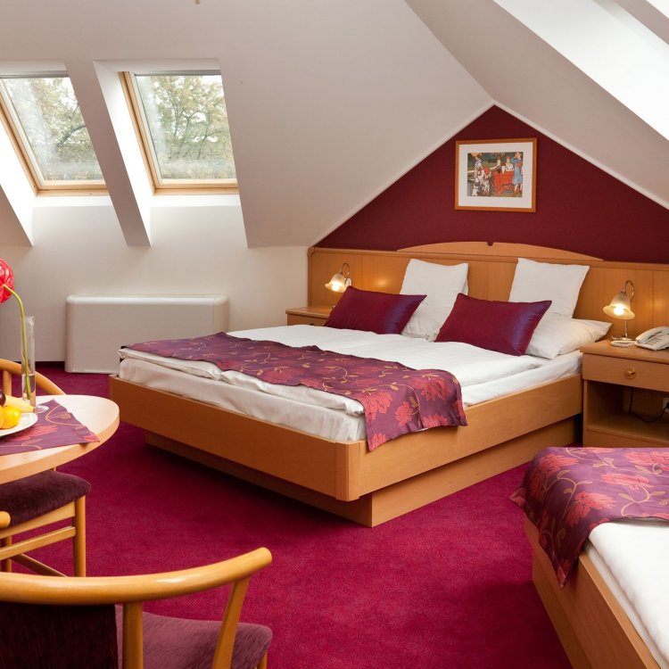 Hotel Kálvária Standard Győr