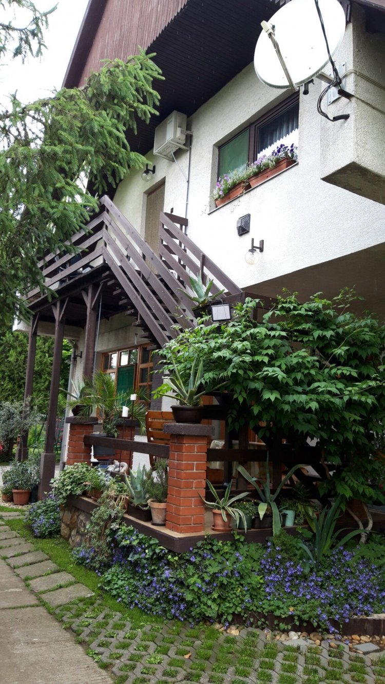 Agave Apartman Velence