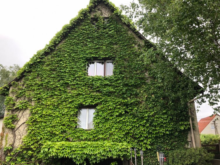 Veranda Apartman Nyíregyháza