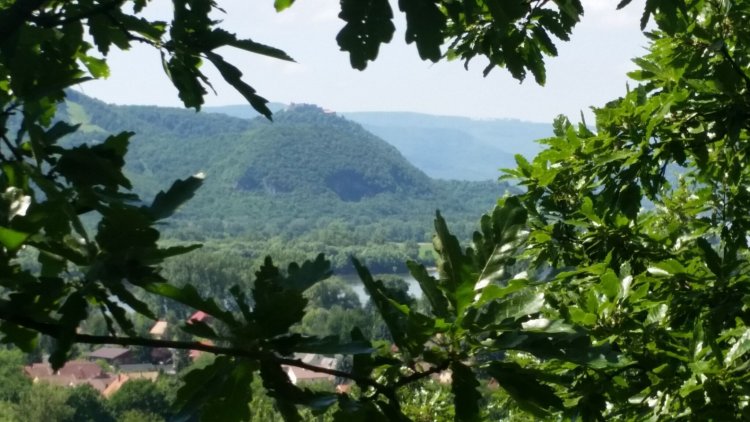 Tölgyerdő Apartman Verőce