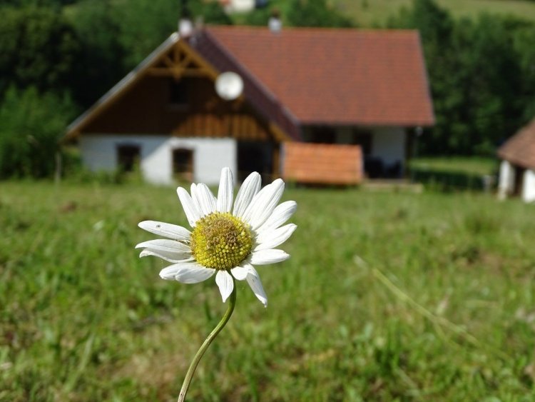 Pagony Pihenő Farm Orfalu