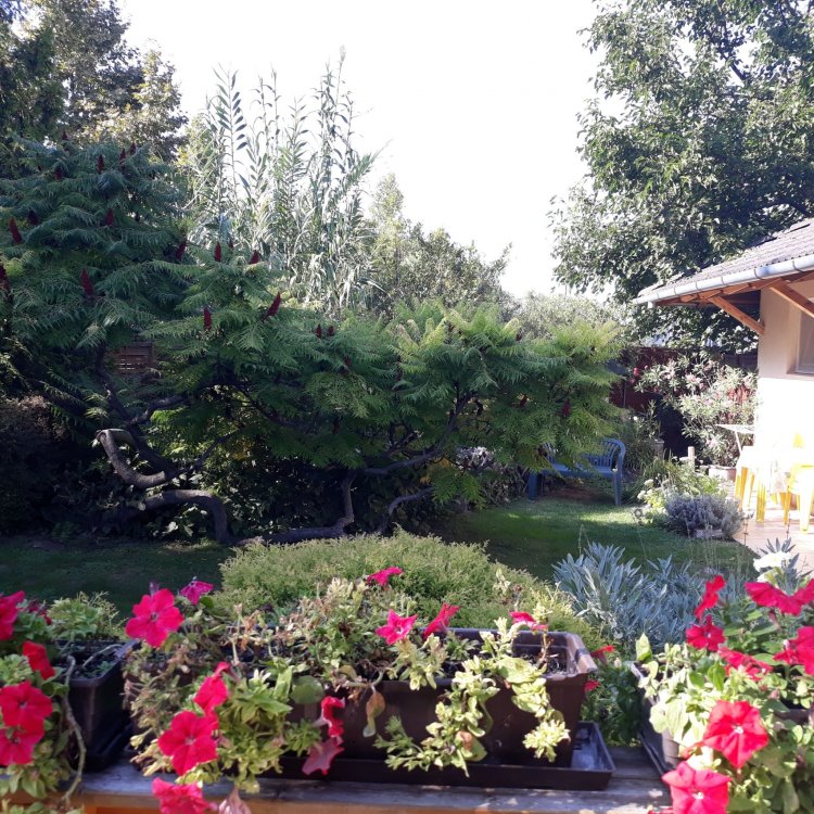 Botond Apartman Siófok