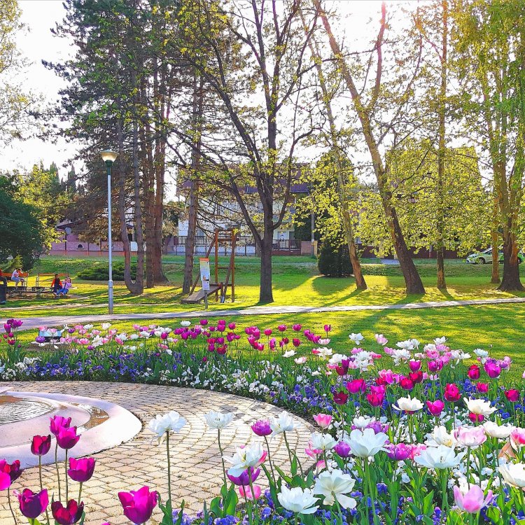 Park Terasz Apartman Zalakaros