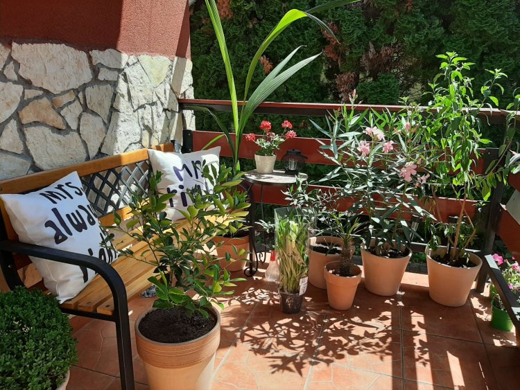 Zala Holiday Apartman Keszthely