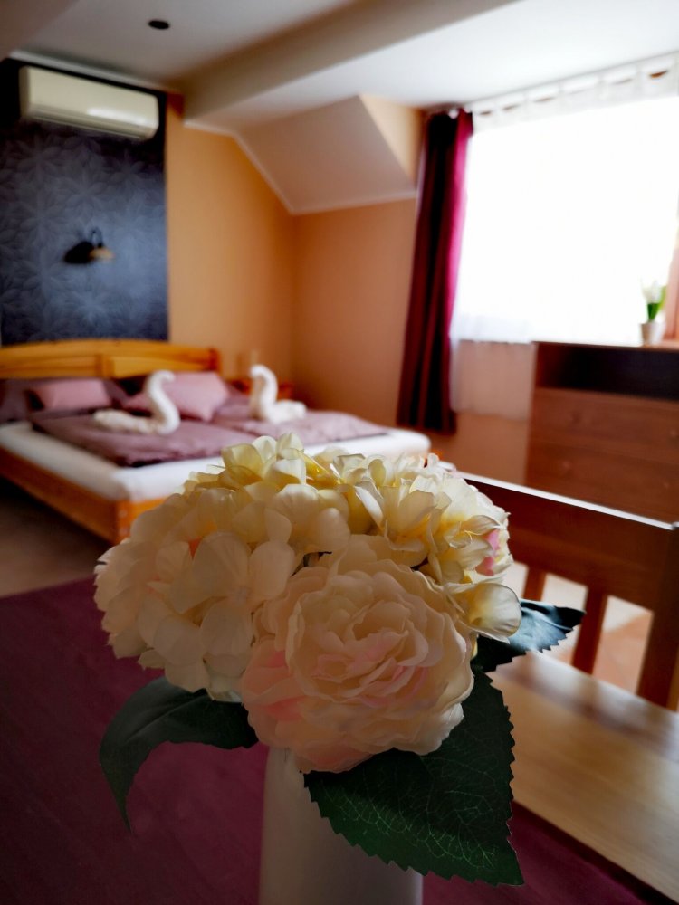 Várkert Apartman Duplex Gyula