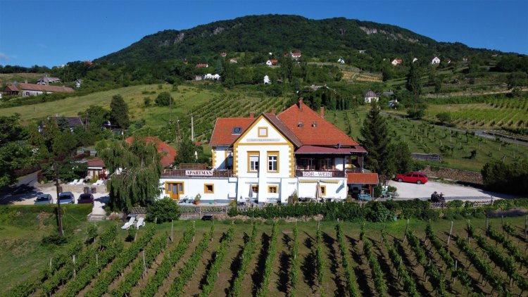 Bacchus Apartman - Borbarlang Vinotéka Badacsony