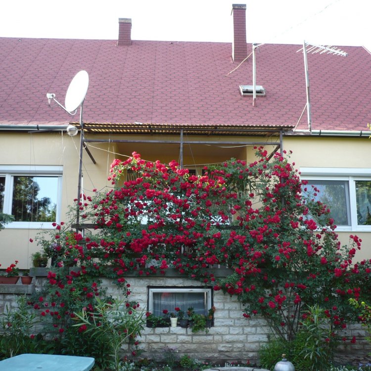Varga Apartman Siófok-Kiliti