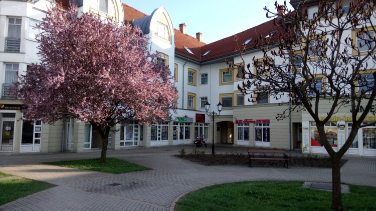Rákóczi Apartman Sárospatak