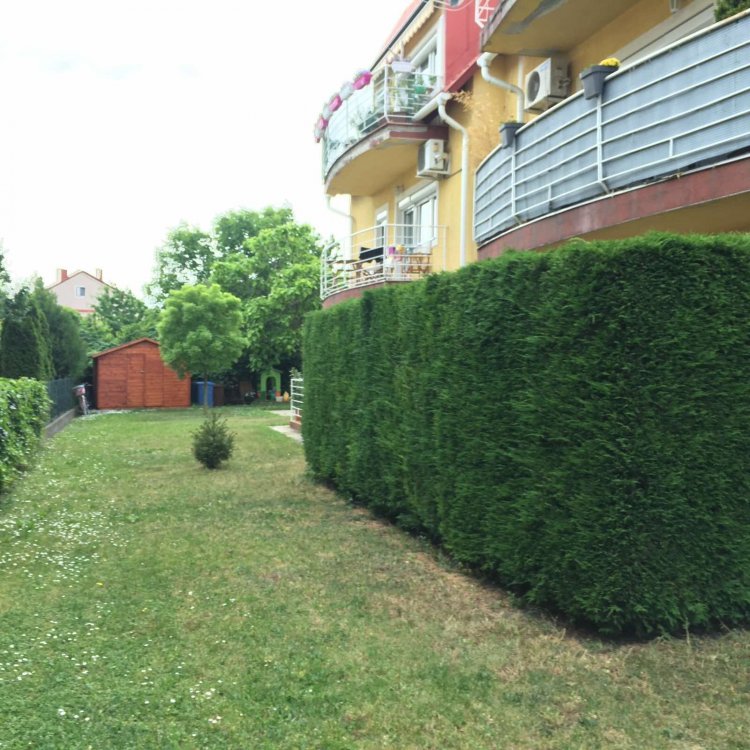 Nádor Apartman Balatonfüred