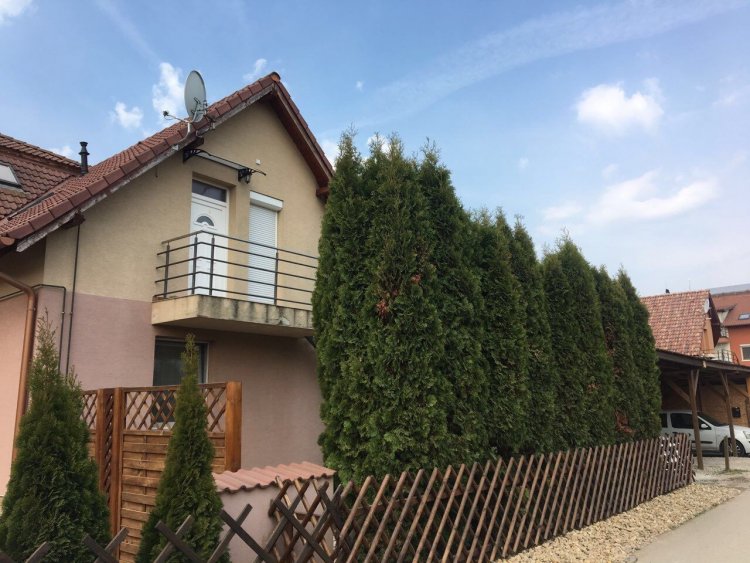 Tulipán Apartman Kápolnásnyék