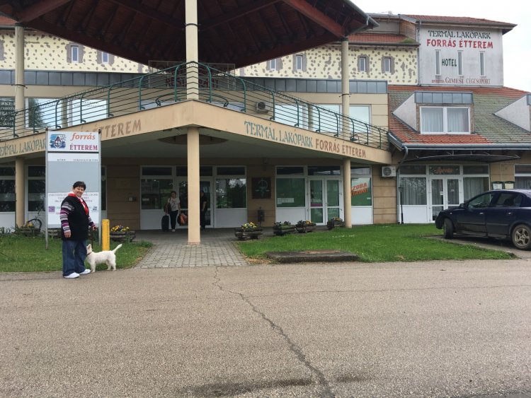 Mónika Apartman Cserkeszőlő