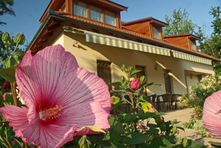 Relaxo Apartmanház Cserkeszőlő