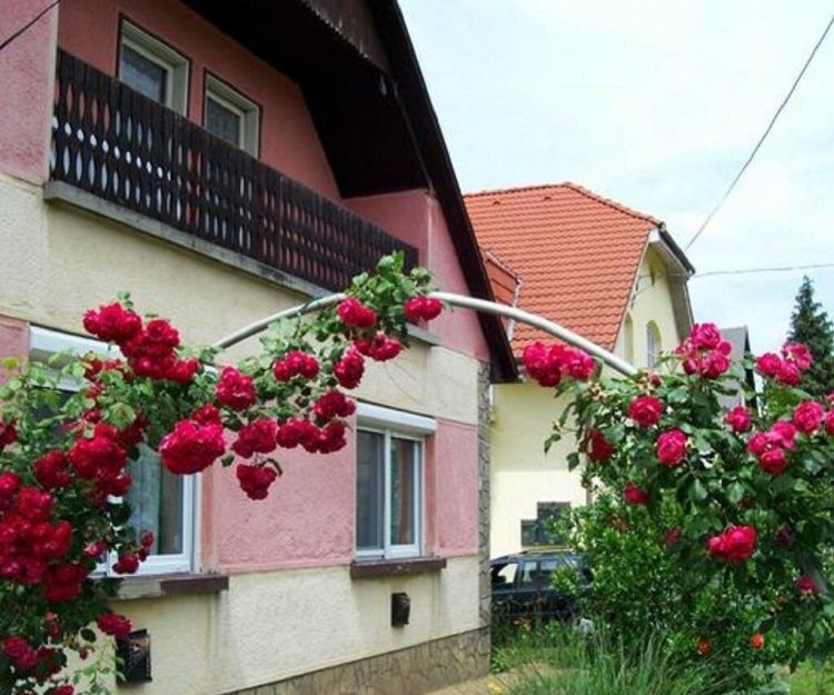 Panni Néni Apartman Balatonboglár