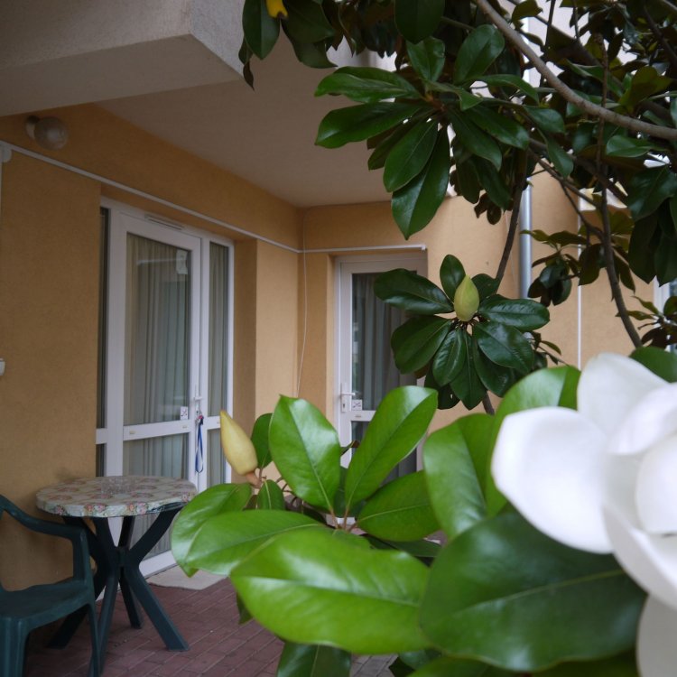 Petra Apartman Hajdúszoboszló