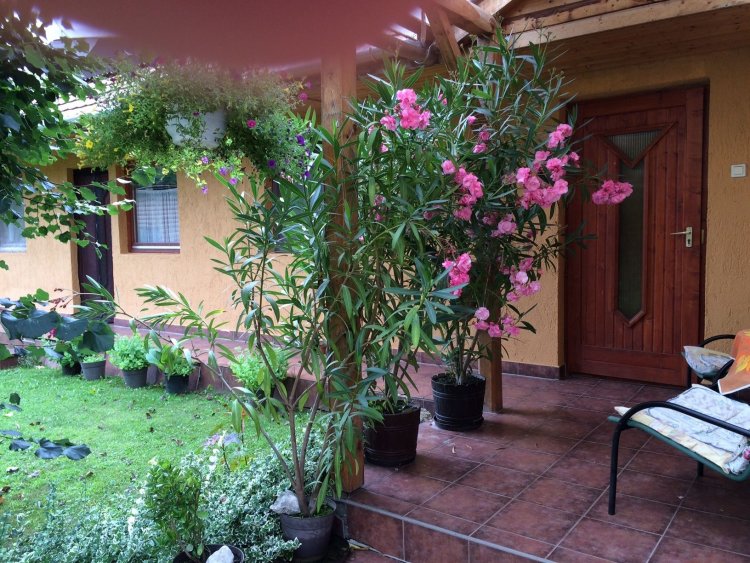 Békaváros Apartman Bakonybél