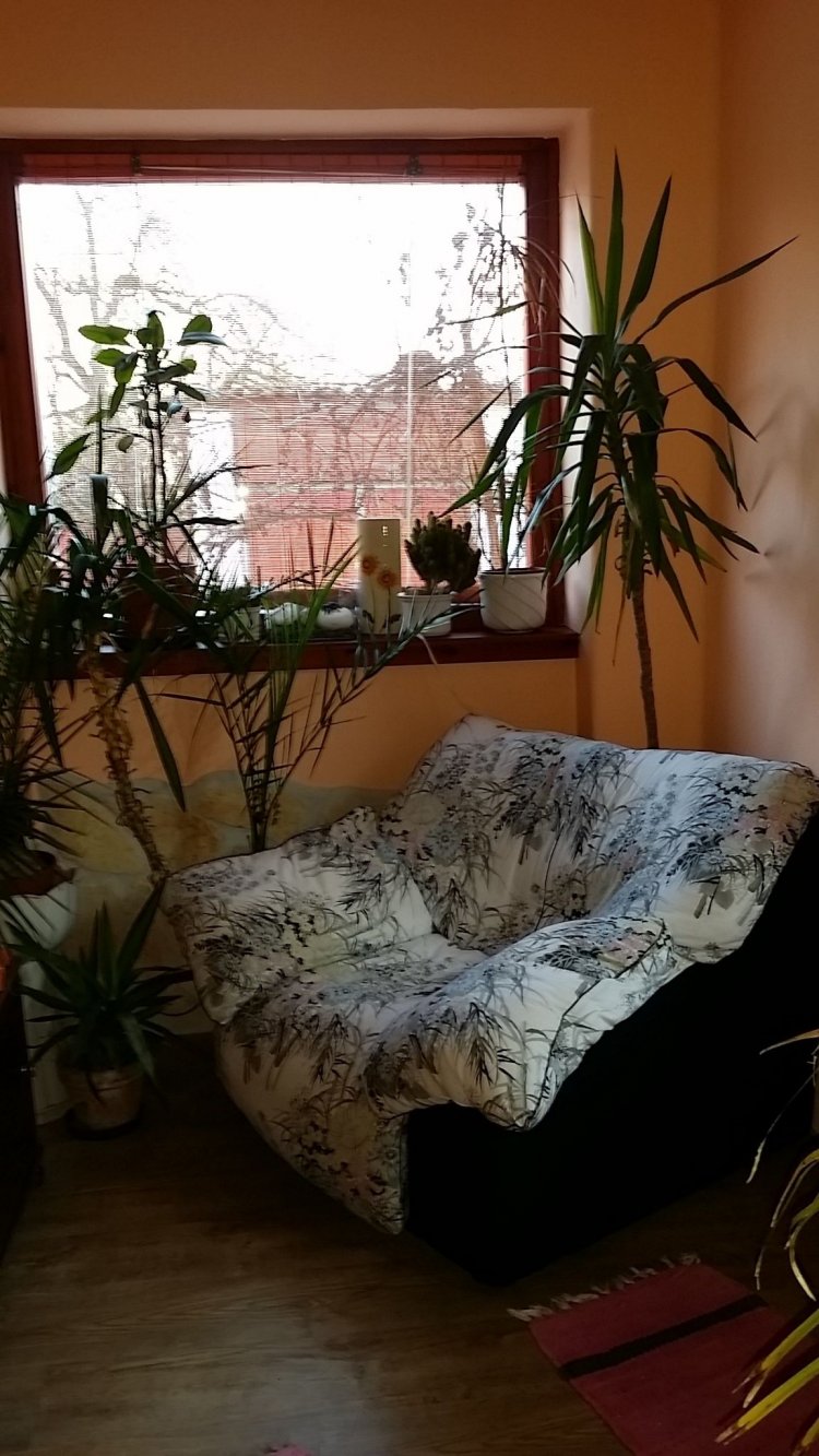 Boris Apartman Gyula