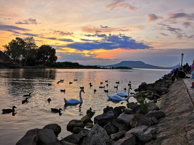 Mackó Apartman Fonyód