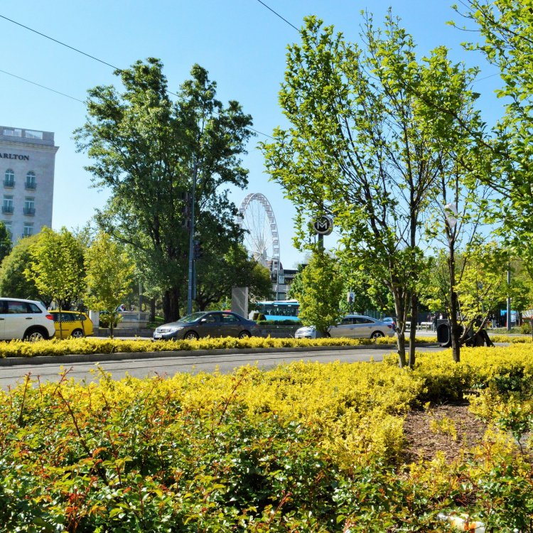 Pulse Life Budapest