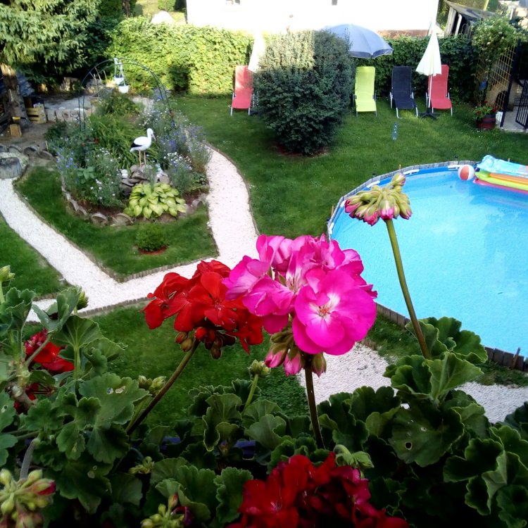 Brigitta Apartman Szigetmonostor