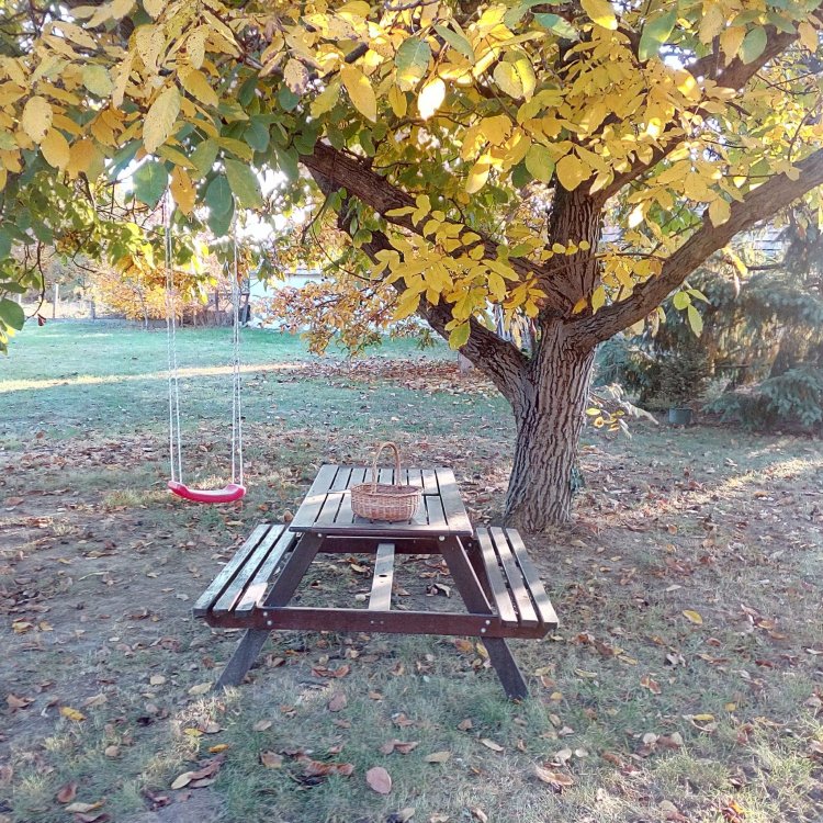 Kis Ház Apartman Tiszaszőlős