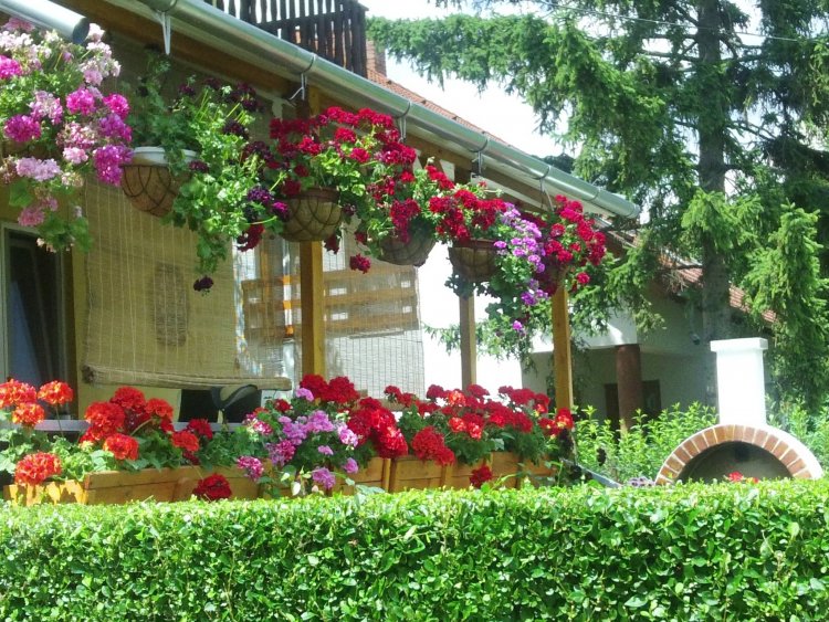 Family Apartman Balatonalmádi