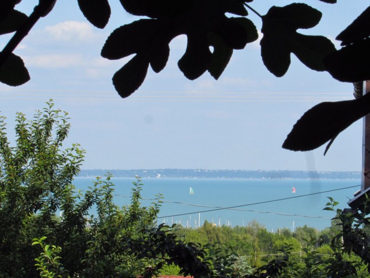 Ferenczi Apartman Balatonalmádi