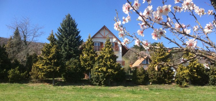 pARTvonal Apartmanház Balatongyörök