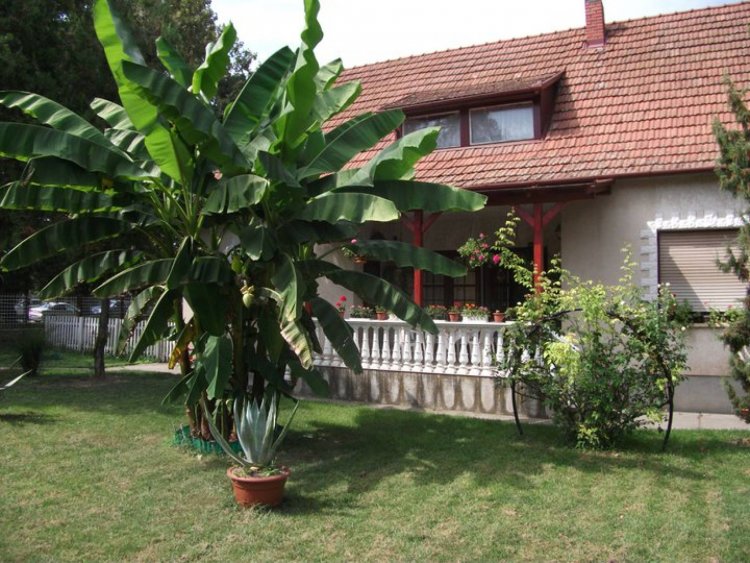 Margit Apartman Siklós