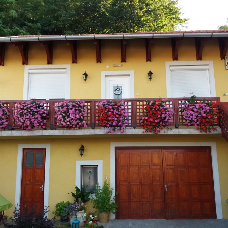 Tóth Pince Apartman Tokaj