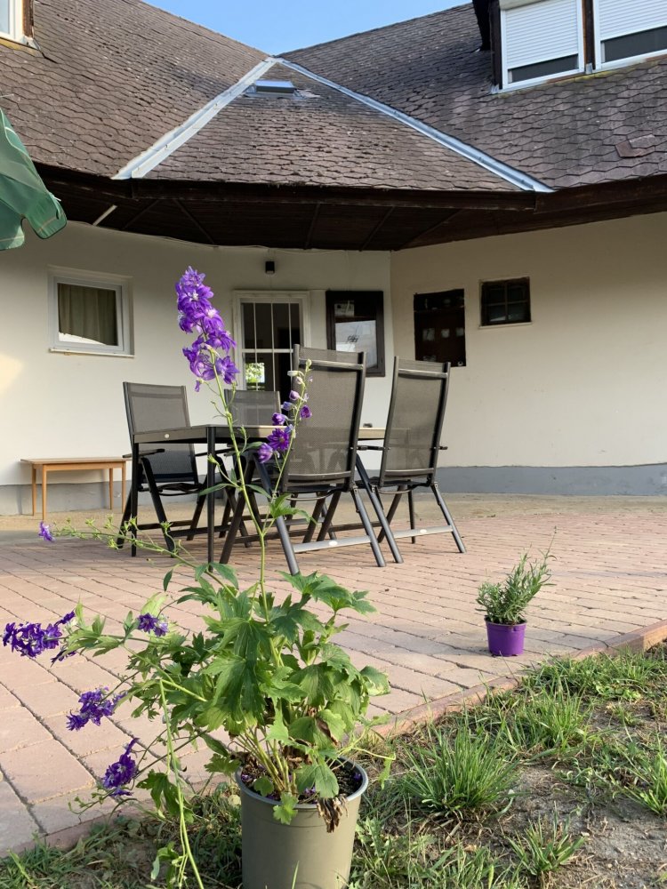 Levendula Kert Apartman Siófok