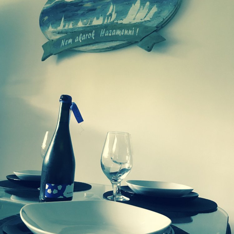 Nem Akarok Hazamenni Apartman Balatonszemes