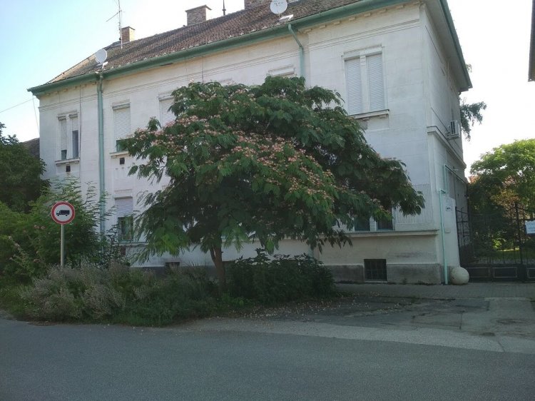 Elizabeth Apartman Makó