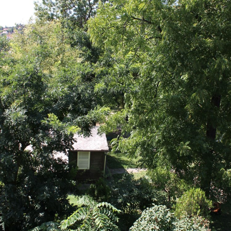 Árnyas Park Panzió Balatonalmádi