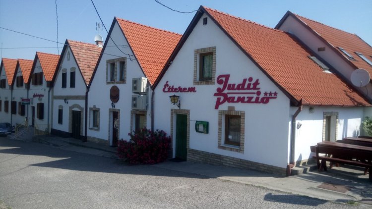 Judit Panzió Hajós