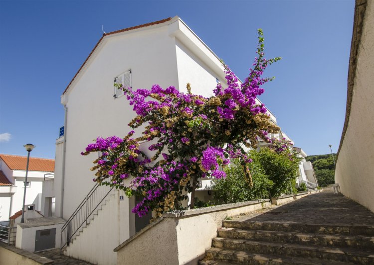 Apartment Tatjana Necujam Horvátország